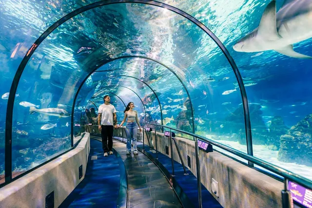 Barcelona: Hop-On Hop-Off Bus & Aquarium Tour — hop-on hop-off Barcelona