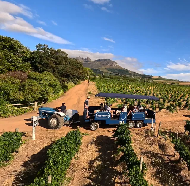 Cape Town: Stellenbosch Hop-On Hop-Off Tractor Transfer — hop-on hop-off Cape Town